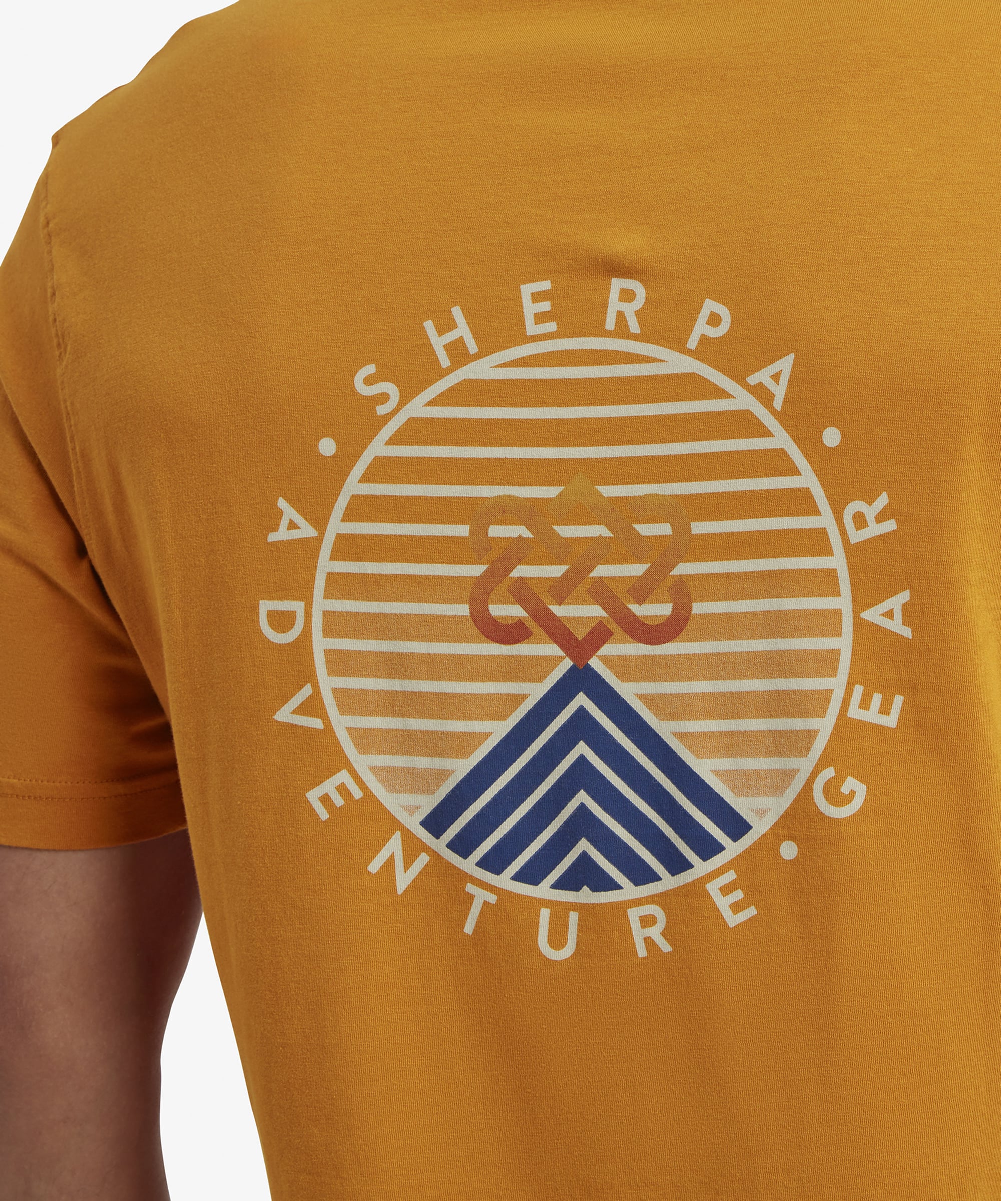 Summit T-Shirt - Masala - Image 7